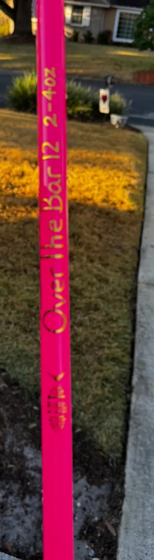Over the Bar 12' pink fishing rod 3