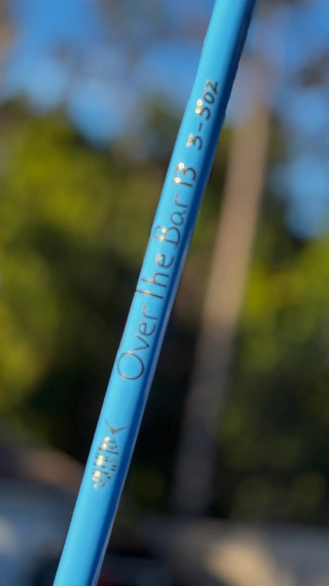 Over the Bar 13' Blue fishing rod