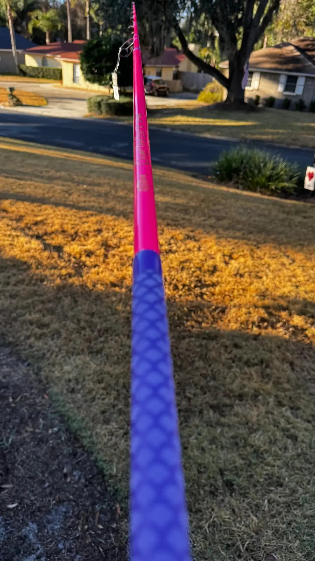 Over the Bar 12' pink fishing rod