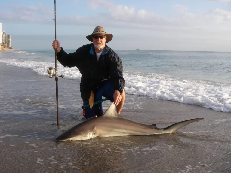big un rod shark catch Florida
