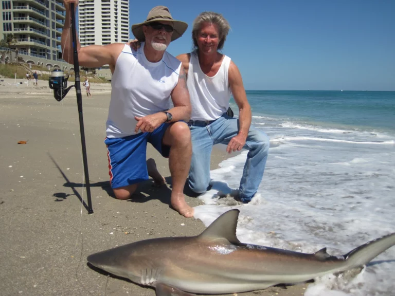 Surf tackle rod shark catch
