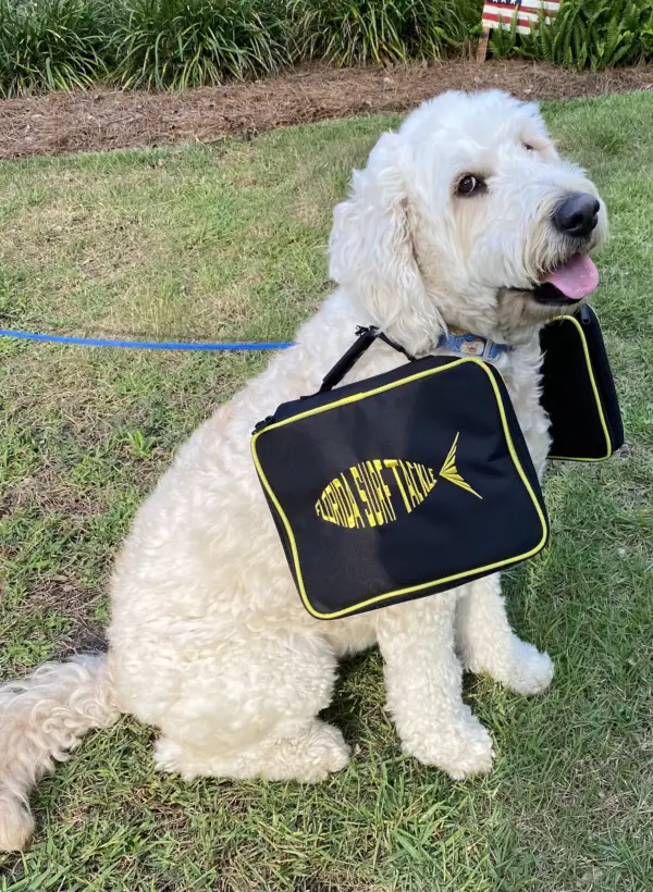 surf fishing Dog tackle rig bag